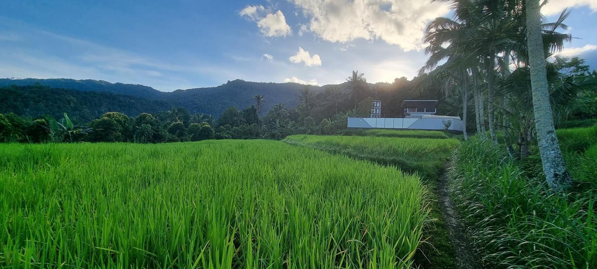 Utopiaku - Munduk Highlands Villa Exterior foto