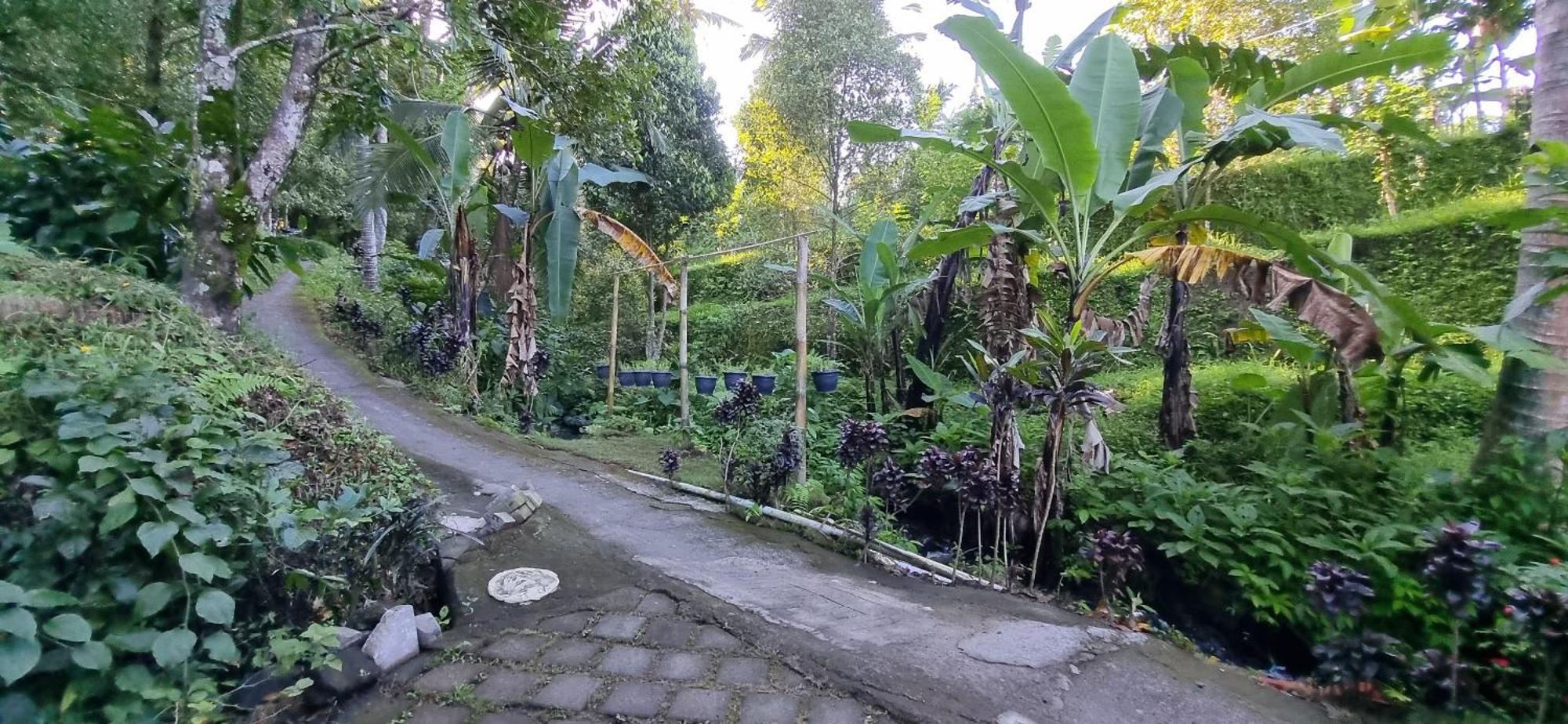 Utopiaku - Munduk Highlands Villa Exterior foto