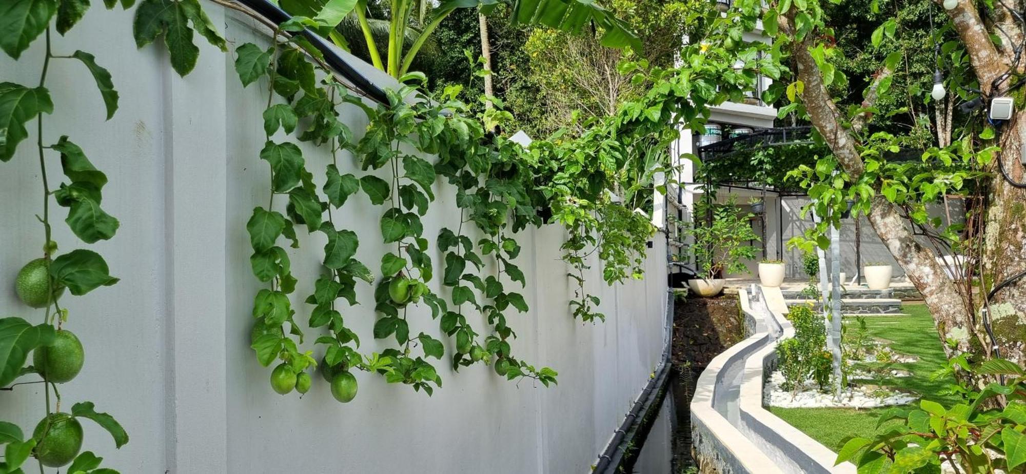 Utopiaku - Munduk Highlands Villa Exterior foto